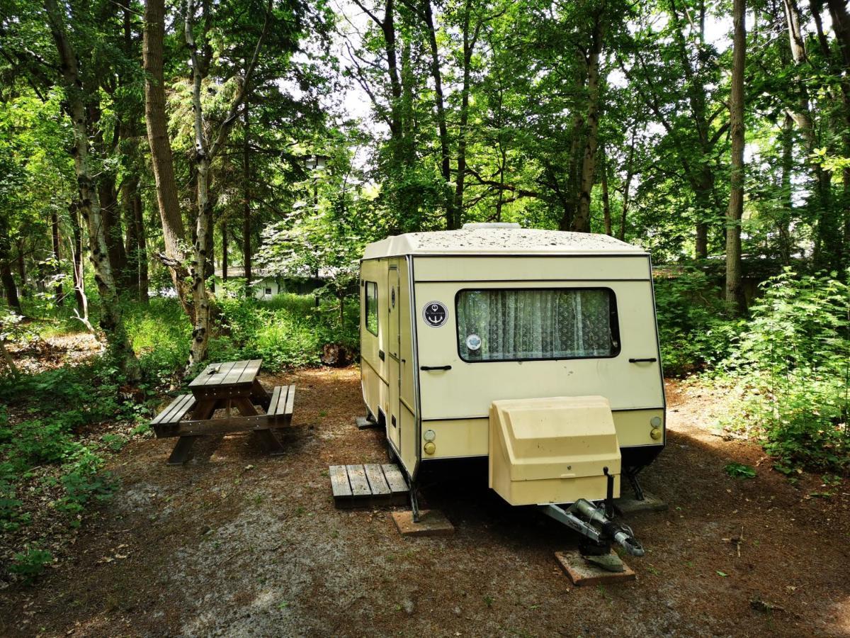 Ddr Kult Wohnwagen Direkt Am Strand Kreptitz Bagian luar foto
