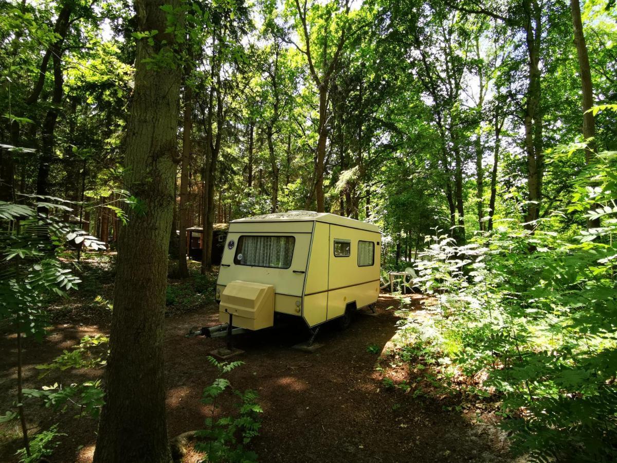 Ddr Kult Wohnwagen Direkt Am Strand Kreptitz Bagian luar foto